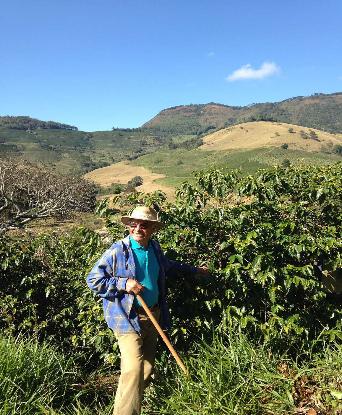 Brazil Fazenda Ondas da Mantiquiera Espresso