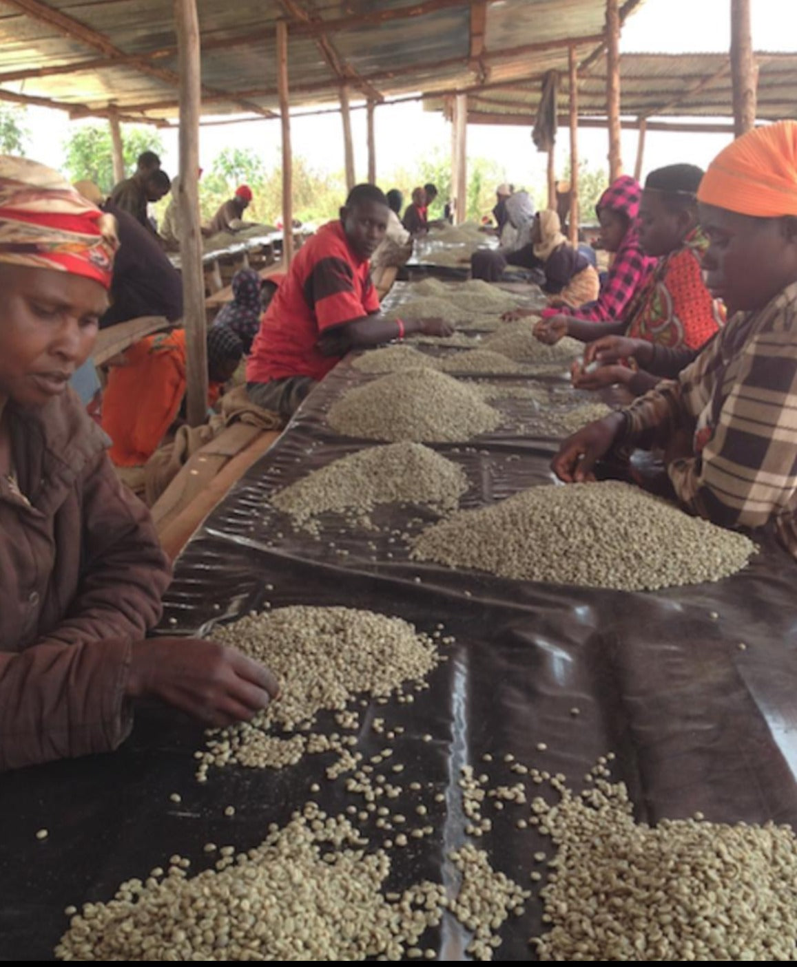 Burundi Ngogomo Filter