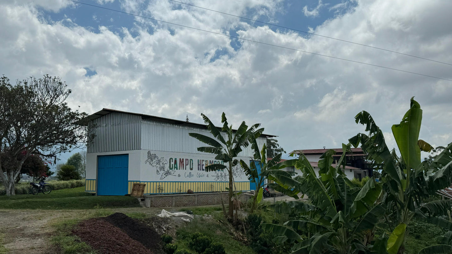 Colombia Campo Hermoso "Cherry Madness" ESPRESSO