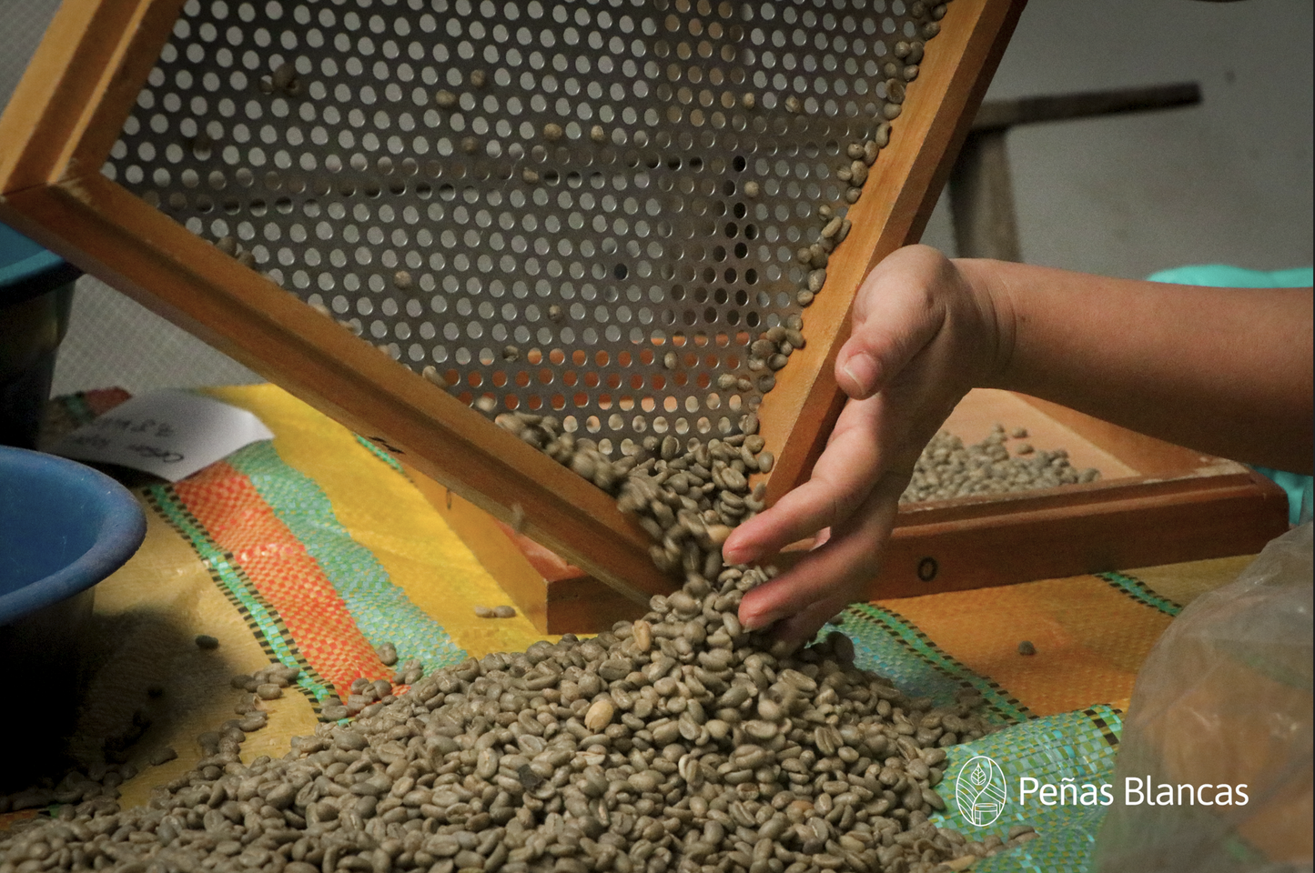 Colombia Penas Blancas Geisha Washed FILTER