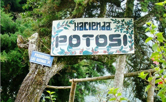 Colombia Tres Dragones Microlot Natural FILTER