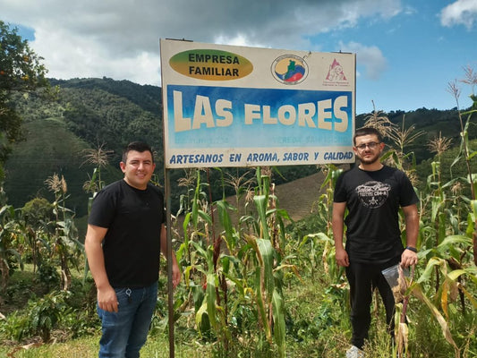 Colombia Finca Las Flores Chiroso Anaerobic Thermal Shock FILTER