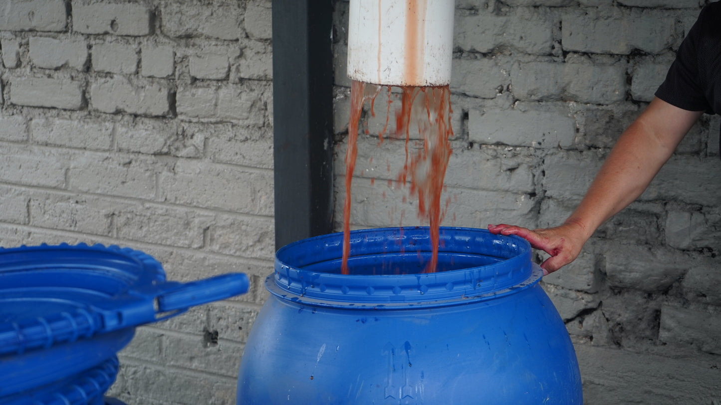 Colombia Campo Hermoso White Honey Mossto Lactic Geisha FILTER
