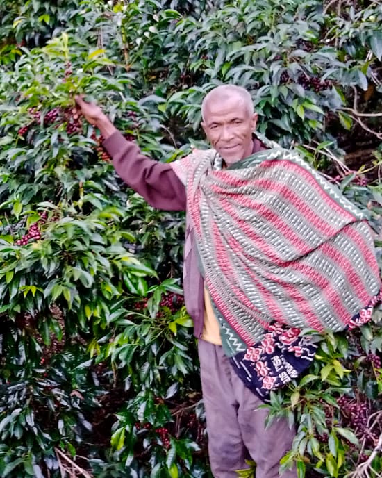 Ethiopia Ocholo Bedecho Washed ESPRESSO