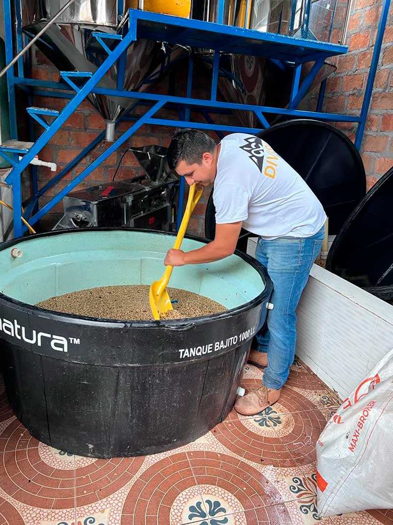 Colombia Finca Las Flores Sidra Anaerobic Thermal Shock FILTER