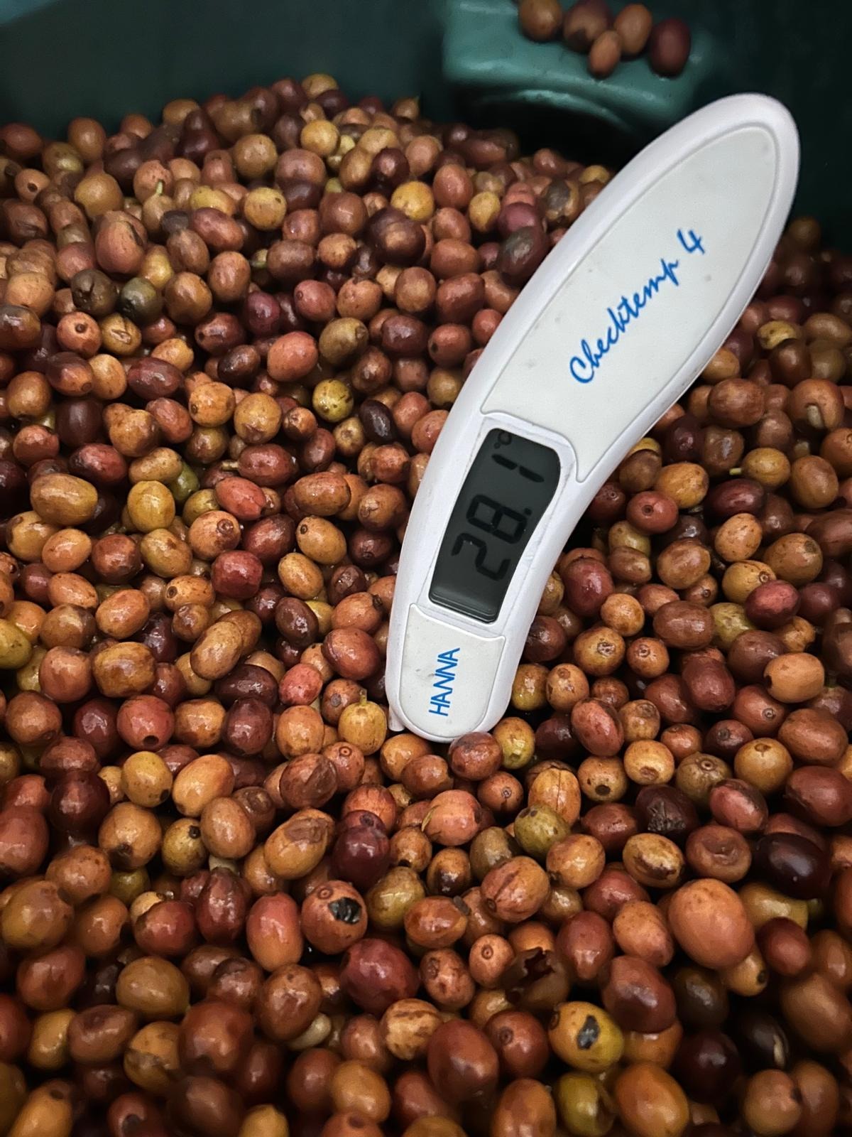 Uganda Mubuku Anaerobic Natural Filter