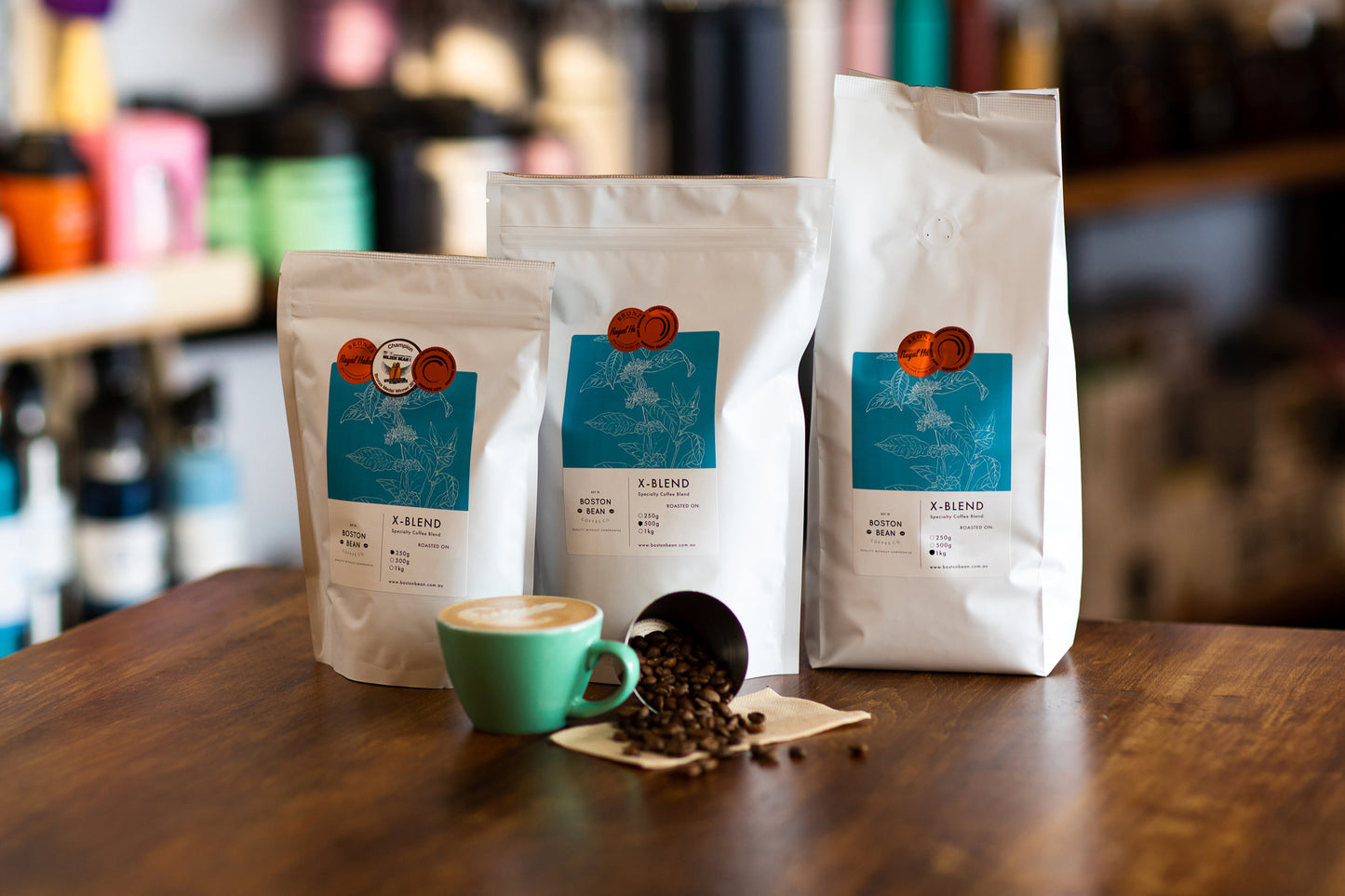 Roasted coffee beans The Boston Bean Coffee Co. X-Blend 250g, 500g, and 1kg bags The Roast Collective