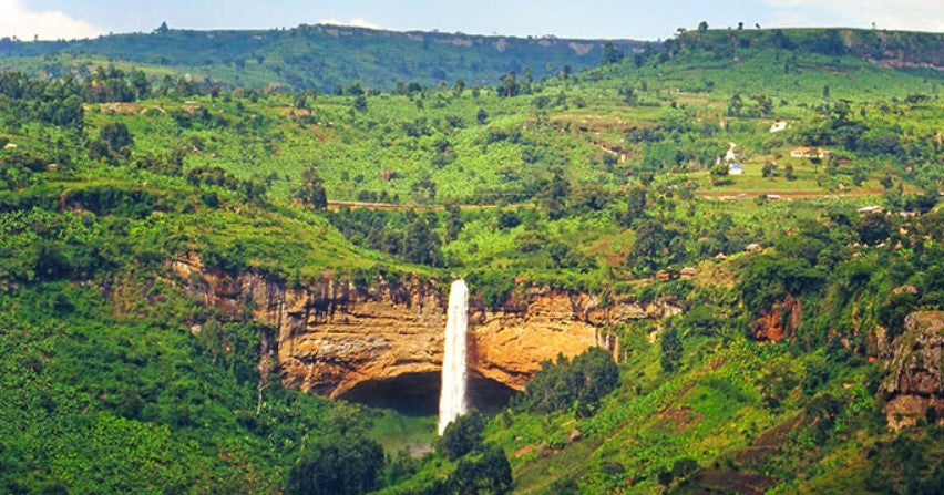 Uganda Sipi Falls Organic Anaerobic Natural ESPRESSO