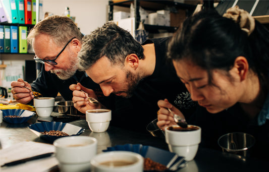 The Boston Bean Coffee Company