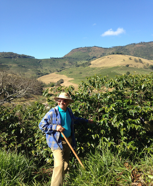 Brazil Fazenda Ondas da Mantiquiera      Espresso