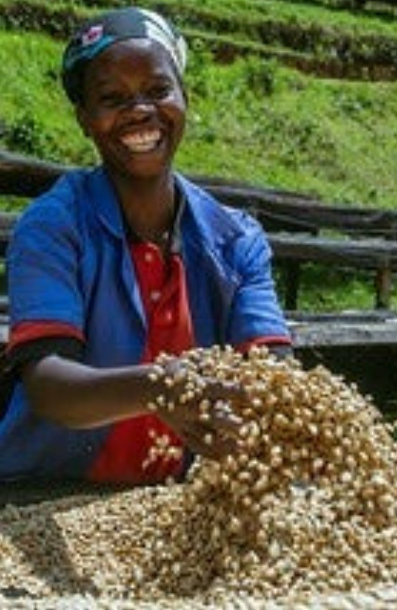 Rwanda Macuba Washed     Filter