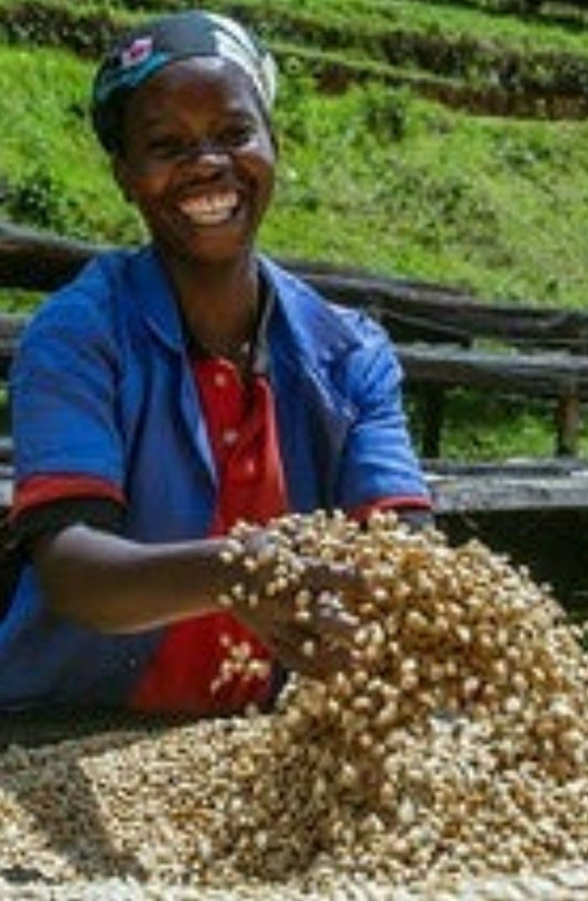 Rwanda Macuba Washed     Filter