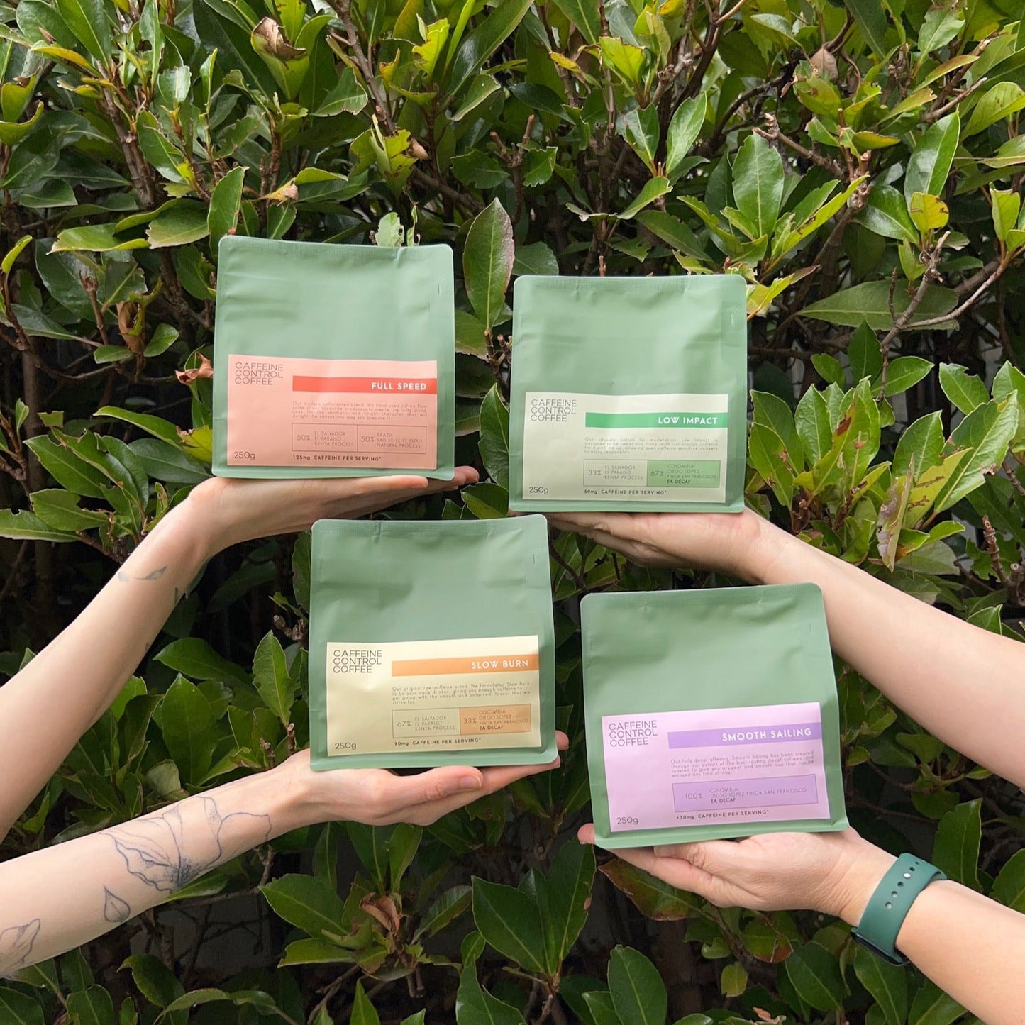 Caffeine Control Mega Blend Bundle