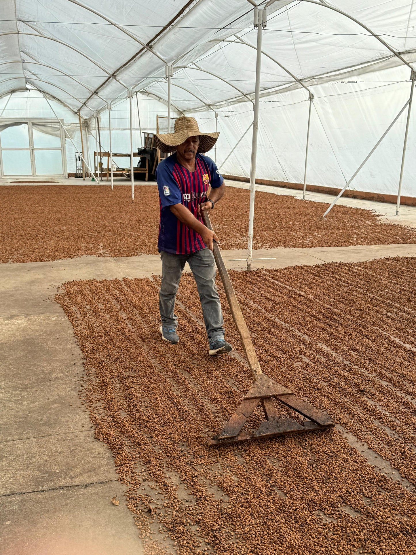 Colombia Campo Hermoso Sidra CM Washed ESPRESSO