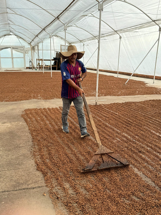 Colombia Campo Hermoso Sidra CM Washed ESPRESSO