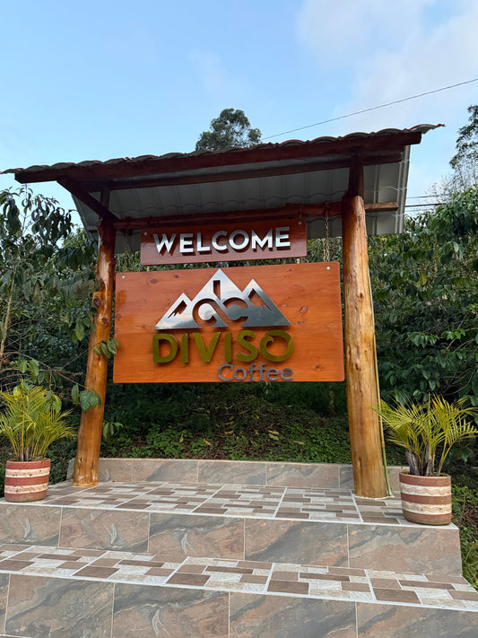 Colombia El Diviso Sidra Thermal Shock Anaerobic Washed FILTER