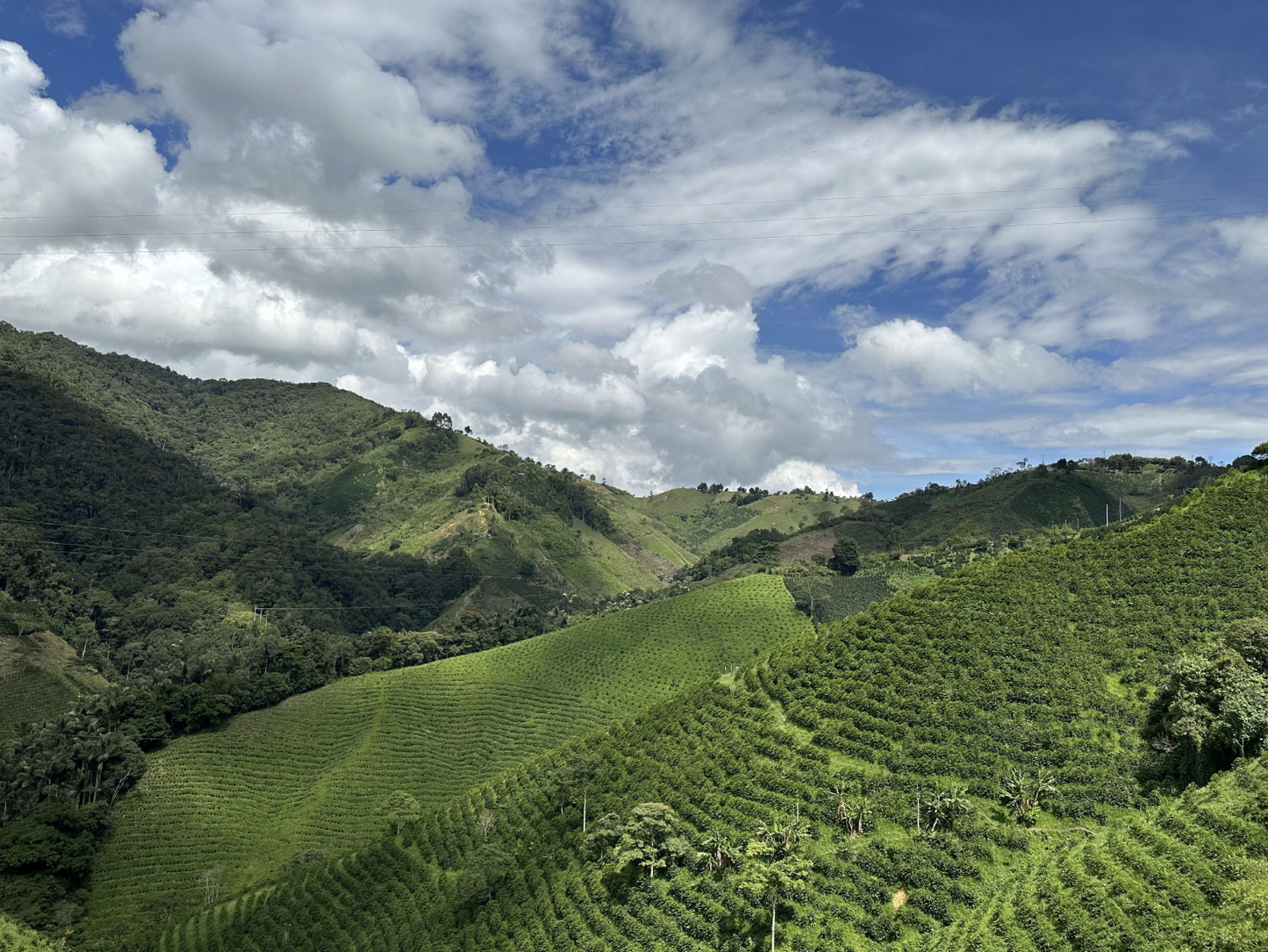 Colombia Las Moras Natural ESPRESSO
