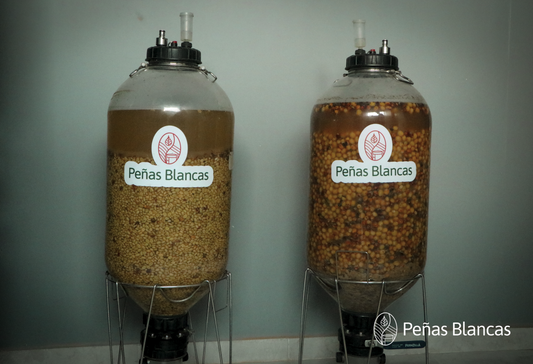 Colombia Penas Blancas Geisha Natural ESPRESSO