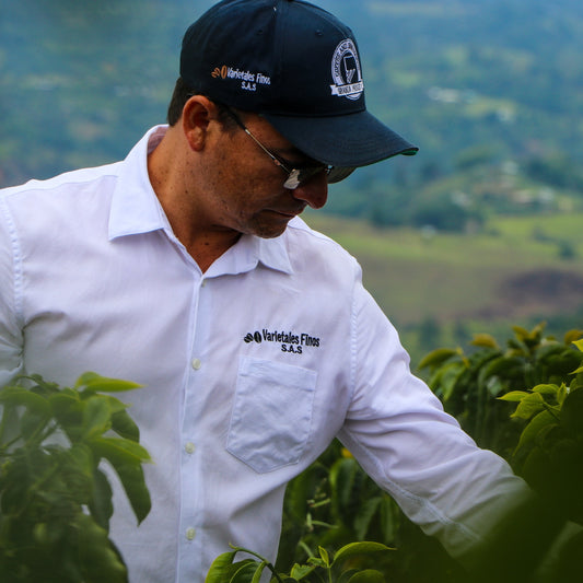 Colombia Wilton Benitez Red Bourbon EA "LoCaf" ESPRESSO