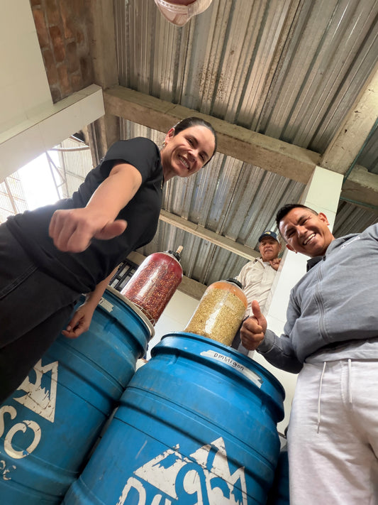 Colombia El Diviso Ombligon Thermal Shock Anaerobic Washed FILTER