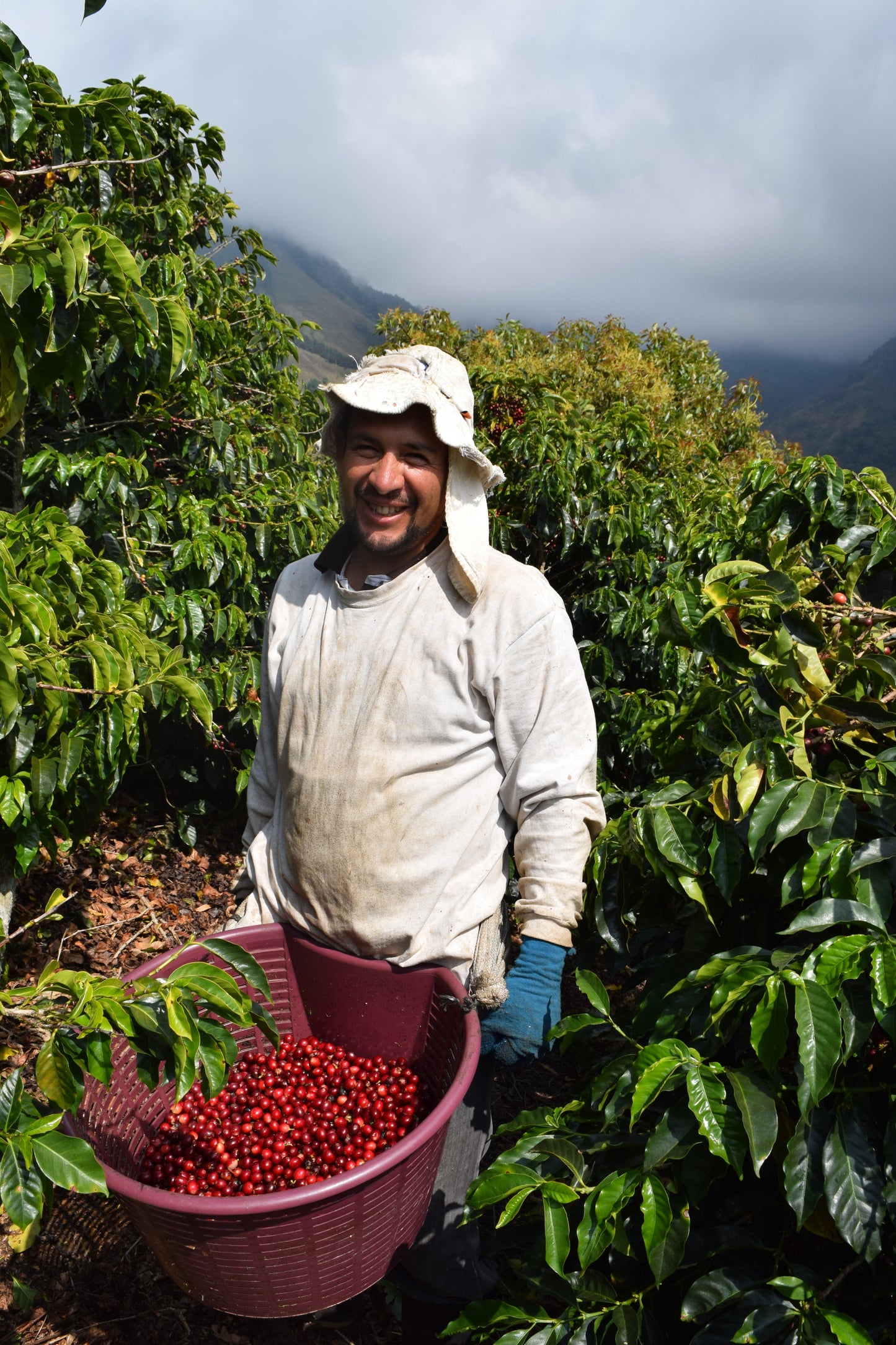 Costa Rica Don Claudio Natural      Espresso