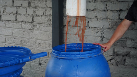 Colombia Campo Hermoso White Honey Mossto Lactic Geisha FILTER