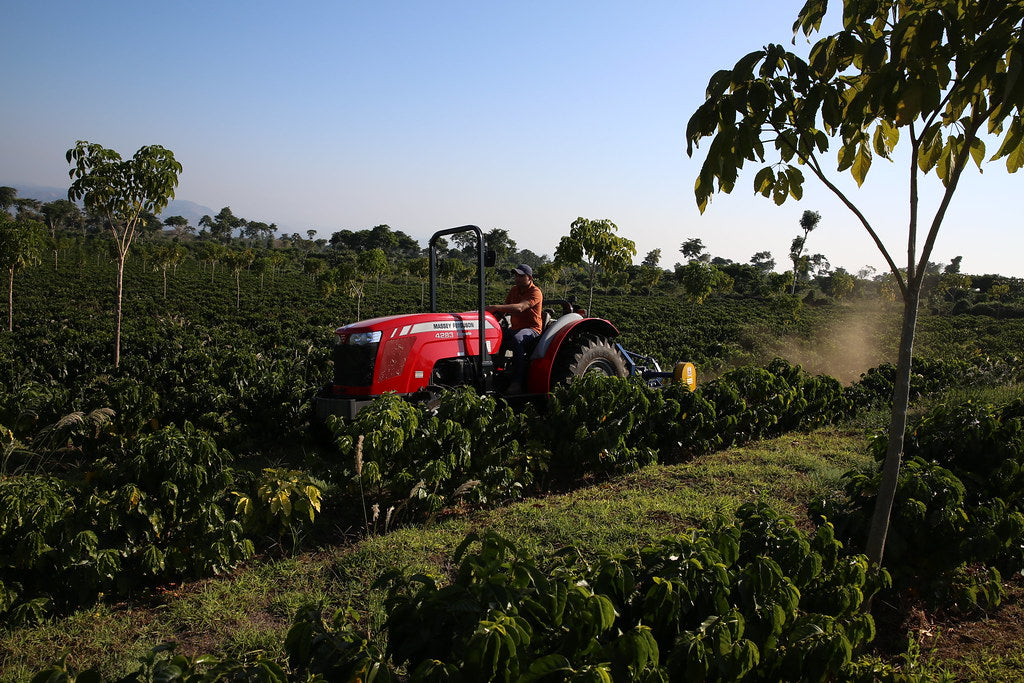 El Salvador Emilio Lopez Caturra Natural   FILTER