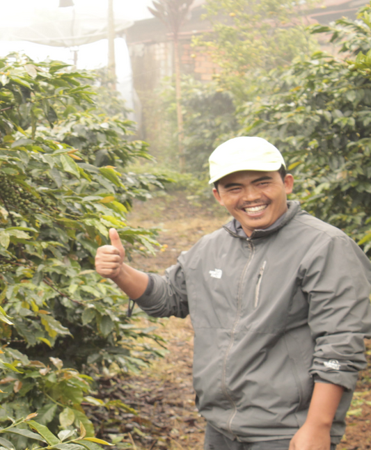 Indonesia Gunung Tujuh Anaerobic Natural     Espresso