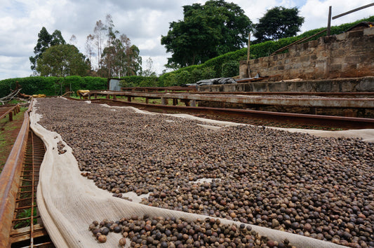 Kenya Ndia-Ini Nyeri Natural ESPRESSO