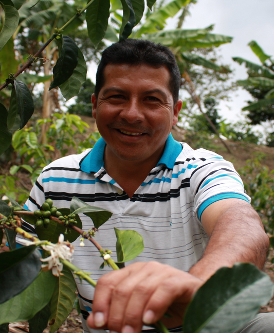 Colombia Colombia La Miel Pink Bourbon Double Anaerobic Natural          Espresso
