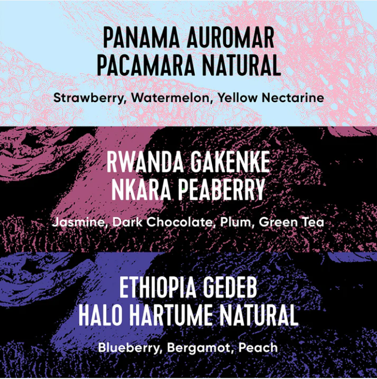 Paradox March Singles Selection