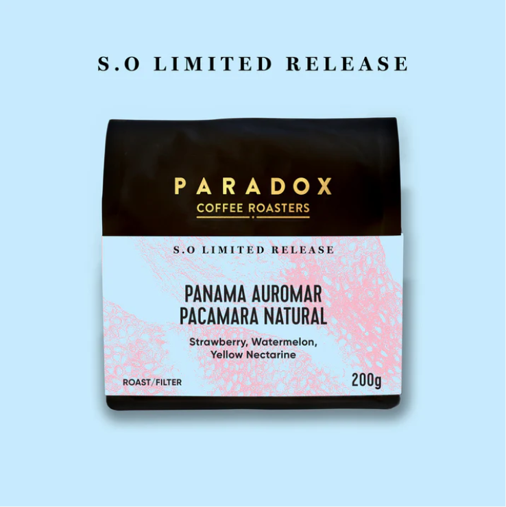 Paradox Coffee Roasters Panama Auromar Pacamara Natural coffee package on a light blue background