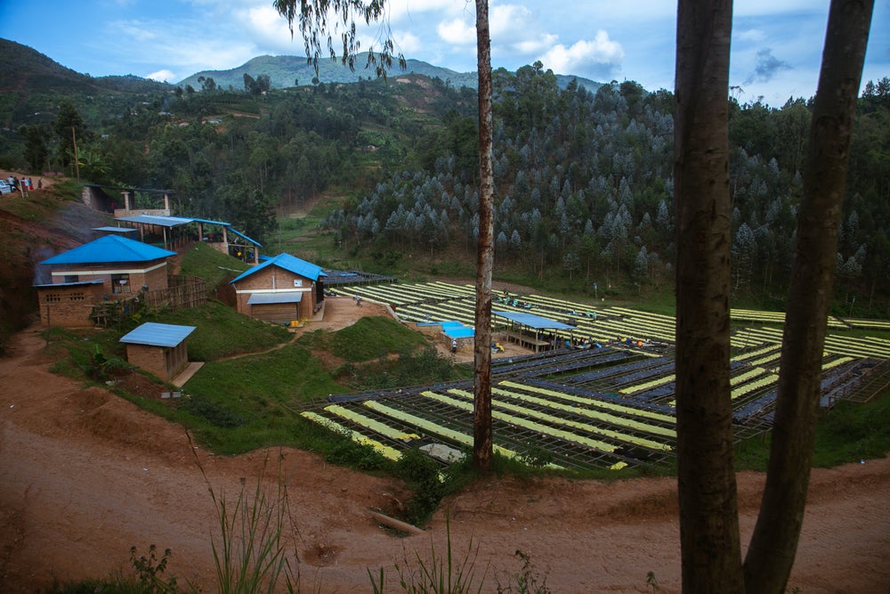 Rwanda Karambi Natural   FILTER