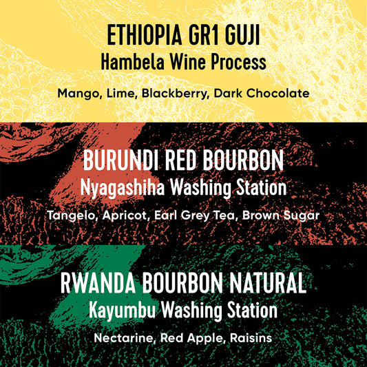 Paradox Single Origin African Selection
