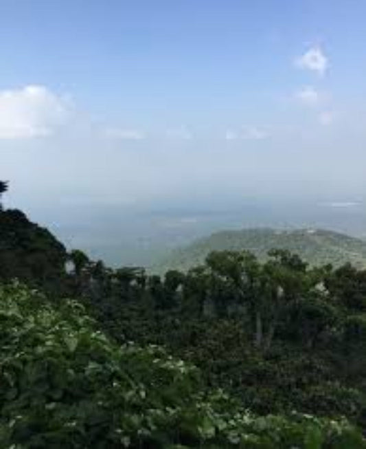 El Salvador San Joaquin      Filter