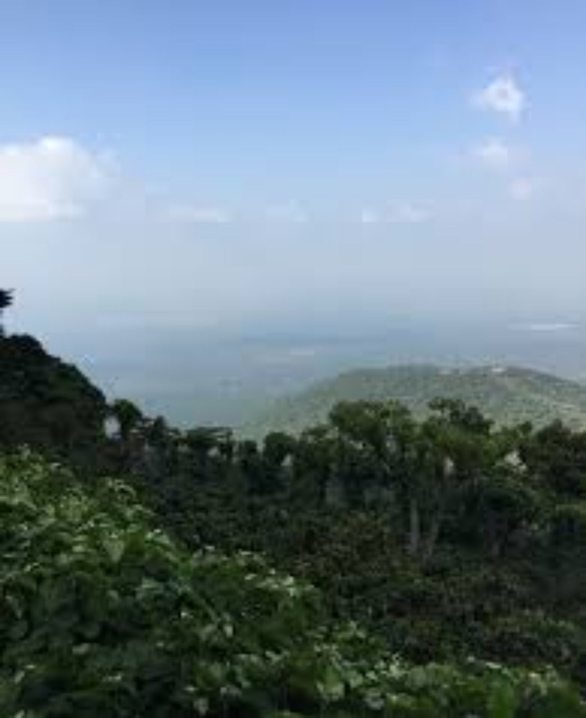 El Salvador San Joaquin      Espresso