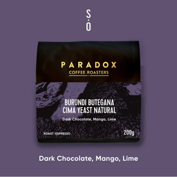 Paradox Coffee Roasters coffee package on a purple background
