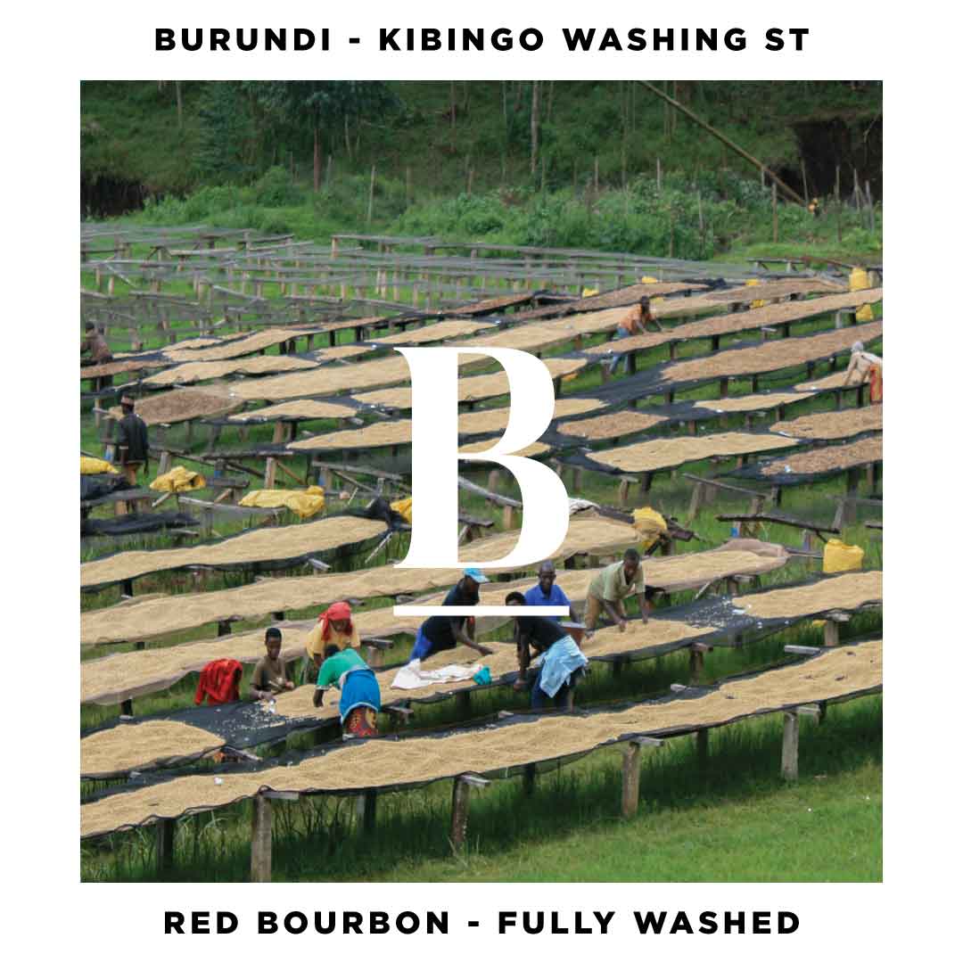 Burundi Kibingo Washing St Red Bourbon Fully Washed