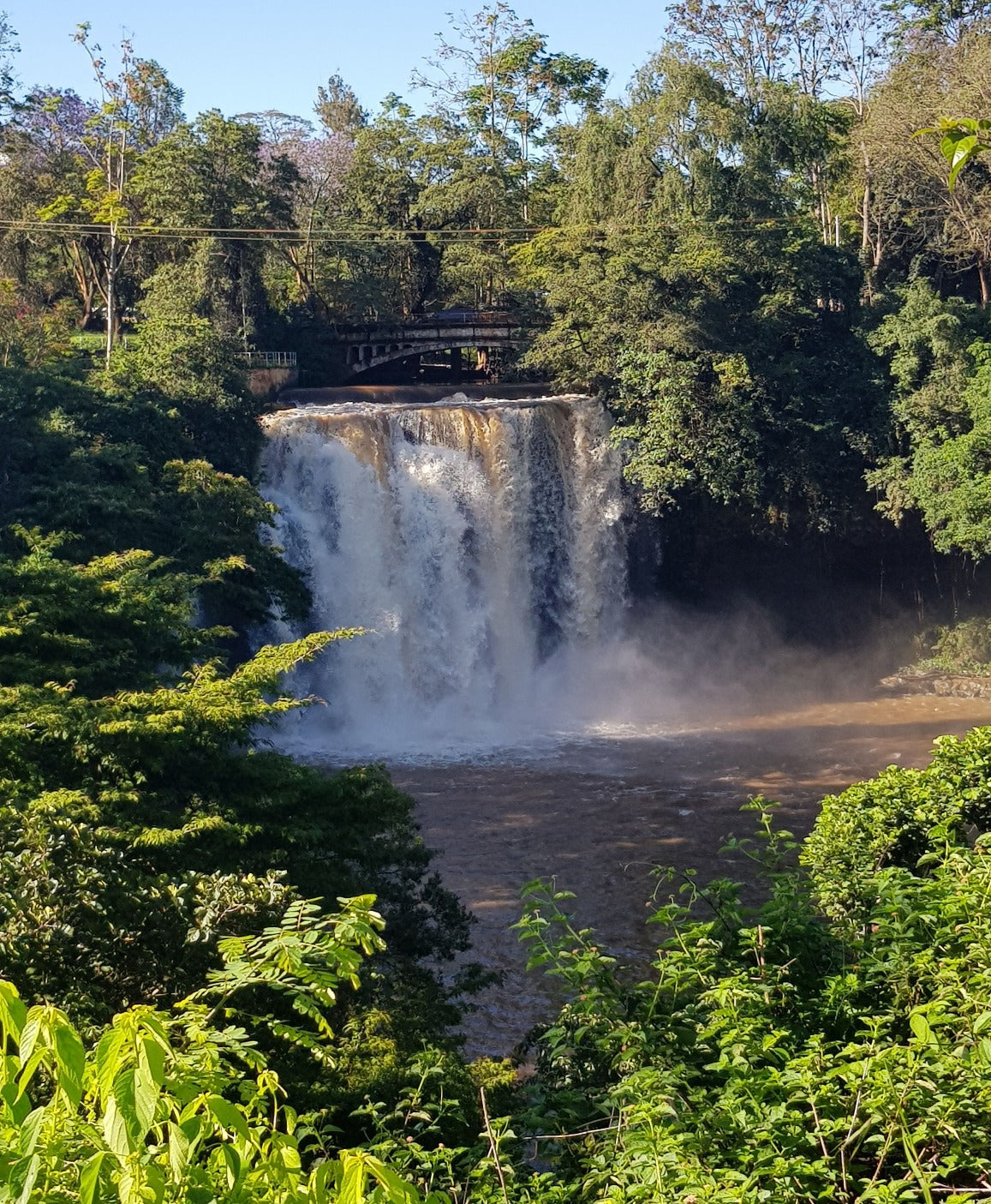 Kenya Chemar      Filter