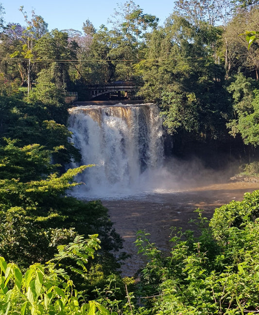 Kenya Chemar      Filter