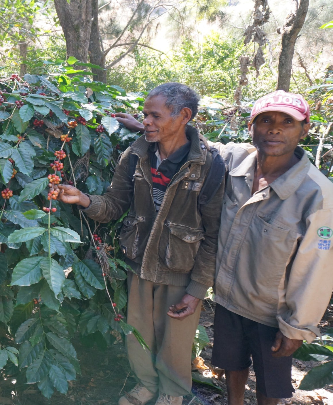 Timor Leste Lutlala      Espresso