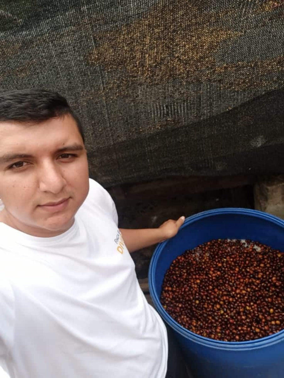 Colombia El Diviso Sidra Anaerobic Natural          Filter