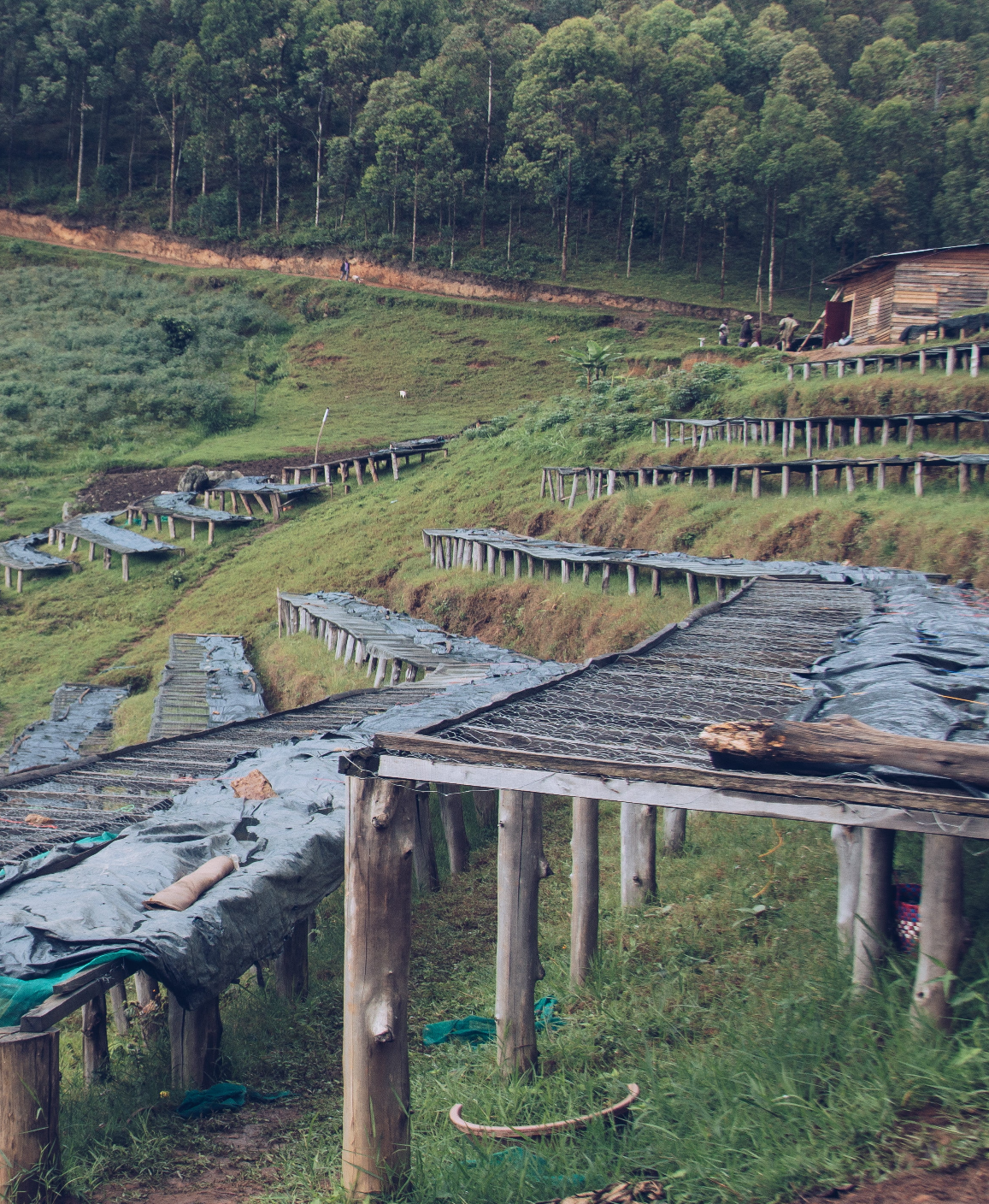 Rwanda Kanyege Natural      Espresso
